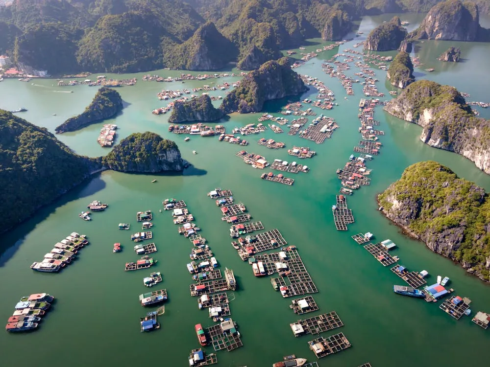 For families with children, Halong Bay combines breathtaking natural scenery with fun and interesting activities that will fascinate kids. - Photo source: PexelsÂ